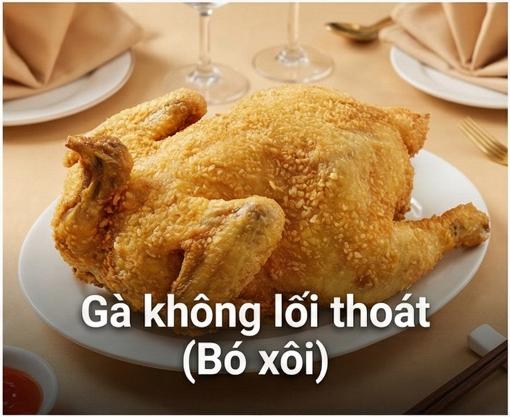 Gà không lối thoát (Bó xôi)